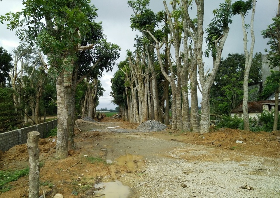 Huyện ủy viên bị đề nghị kỷ luật vì liên quan nhiều sai phạm - 1 Xã Vĩnh Long để xảy ra nhiều sai phạm trong quản lý đất đai