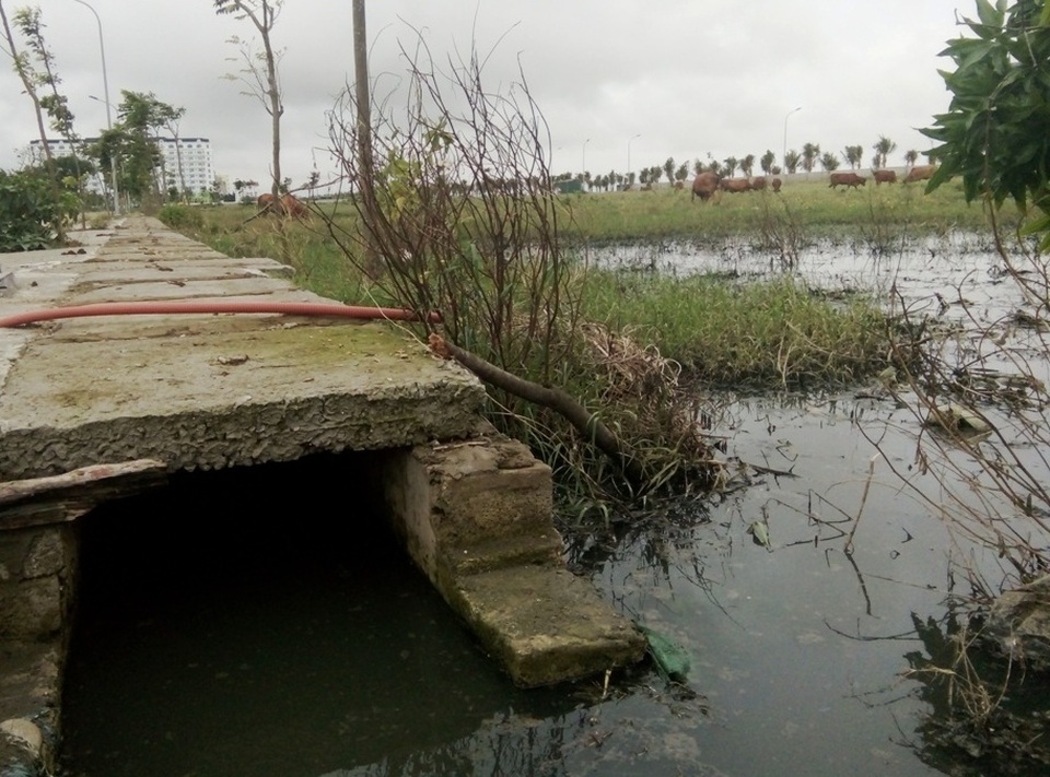 Nước thải từ khu du lịch bốc mùi hôi thối gần khu dân cư