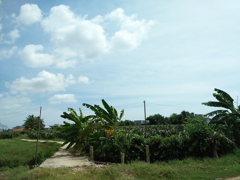 
Bắt đầu từ 12h30 trưa nay, cấp độ gió ở Bình Thuận đã bắt đầu mạnh lên
