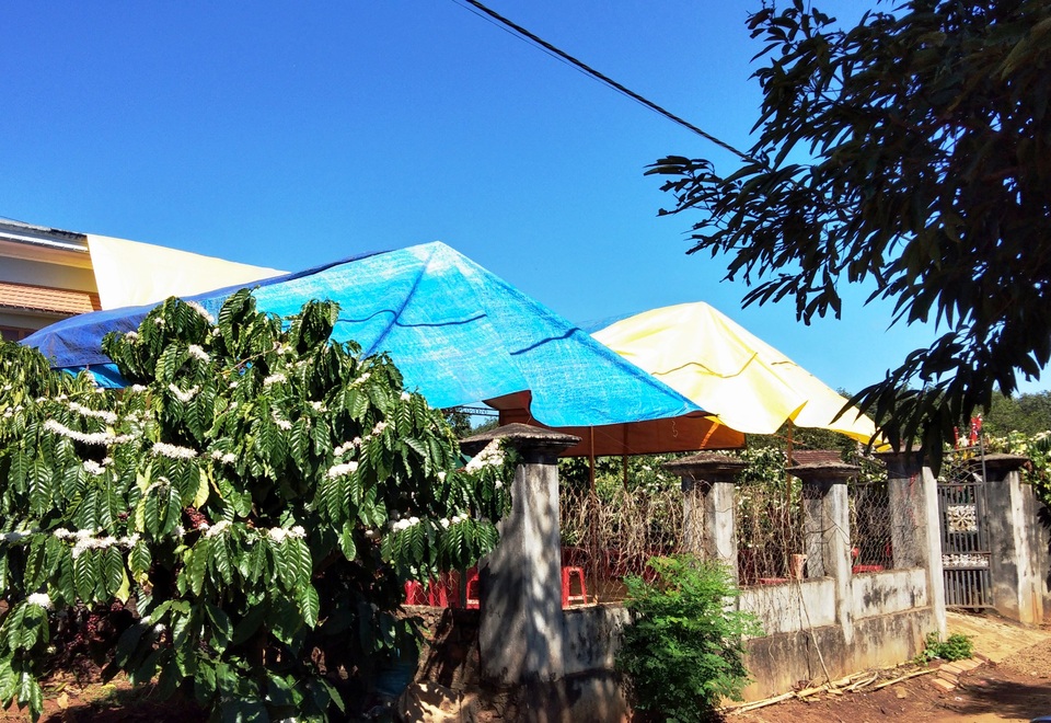 
Hiện gia đình đang tổ chức tang lễ cho em học sinh bị đâm 
