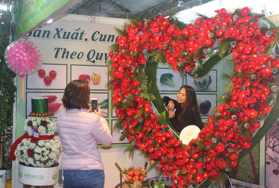 Những không gian hoa độc đáo chỉ có tại Lễ hội hoa Đà Lạt 2017 - 9 Những không gian hoa độc đáo chỉ có tại Lễ hội hoa Đà Lạt 2017 - 9