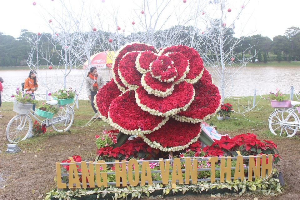 Những không gian hoa độc đáo chỉ có tại Lễ hội hoa Đà Lạt 2017 - 5 Hồng hoa