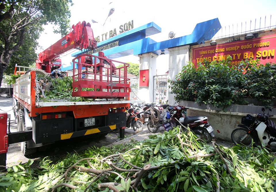 Hình ảnh 14 cây xanh trên đường Tôn Đức Thắng bị đốn hạ, di dời - 5 Những nhánh cây nhỏ được được công nhân dọn dẹp để đảm bảo an toàn cho người đi đường.