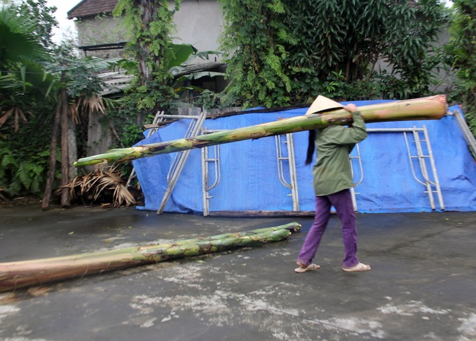 Xót thương chàng trai học sinh giỏi cấp tỉnh gặp bệnh hiểm nghèo - 10 Quá khó khăn người mẹ nghèo bán đi cả những cây chuối cuối cùng trong vườn cũng chưa đủ miếng ăn, nói gì chữa bệnh cho con trai.