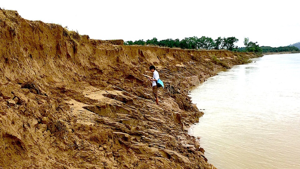 Bất lực nhìn sông Lam nuốt làng - 7 
Theo người dân, nếu tình trạng xói lở bờ sông Lam tiếp diễn như hiện nay thì chẳng mấy năm nữa sông Lam sẽ ăn vào làng.