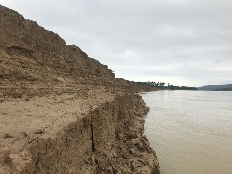 Bất lực nhìn sông Lam nuốt làng - 6 
Bờ sông Lam bở tơi, những bờ đất bị sạt lở dốc đứng cao vài mét.