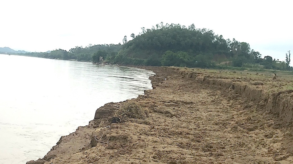 Bất lực nhìn sông Lam nuốt làng - 5 Một lớp đất mặt trên bị bóc sau cơn lũ.