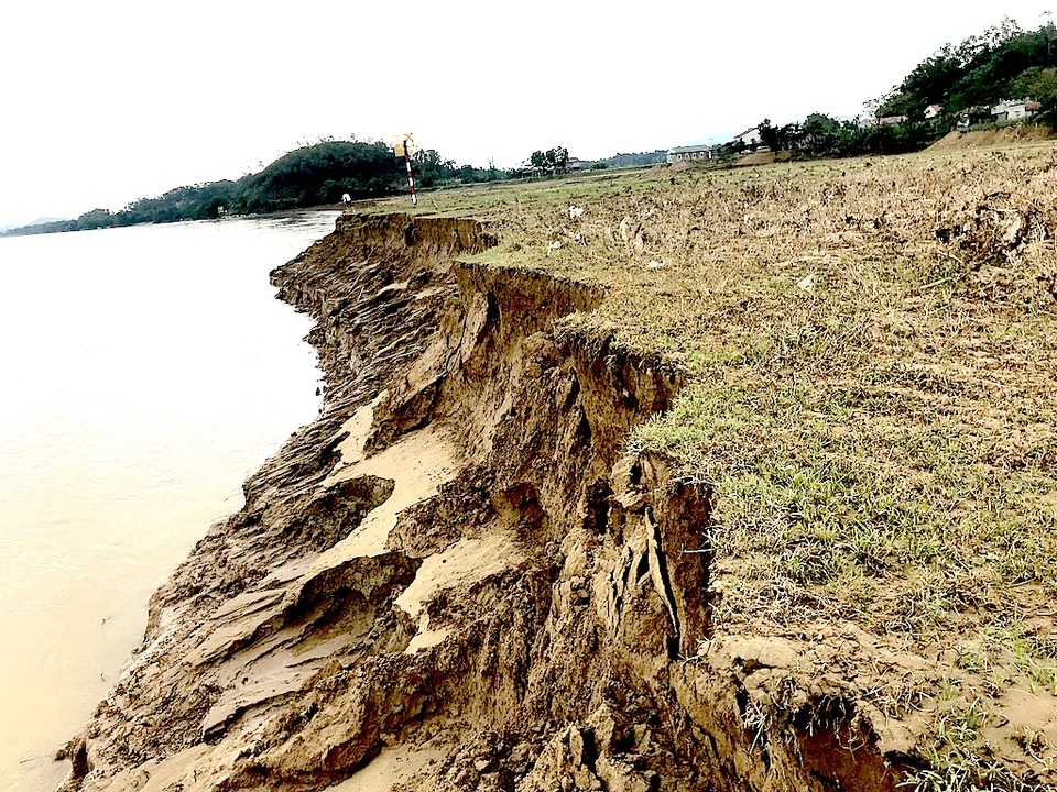 Bất lực nhìn sông Lam nuốt làng - 2 
Những mảng đất bị kéo sụp xuống sông. 30 ha đất sản xuất nay chỉ còn khoảng 10 ha.
