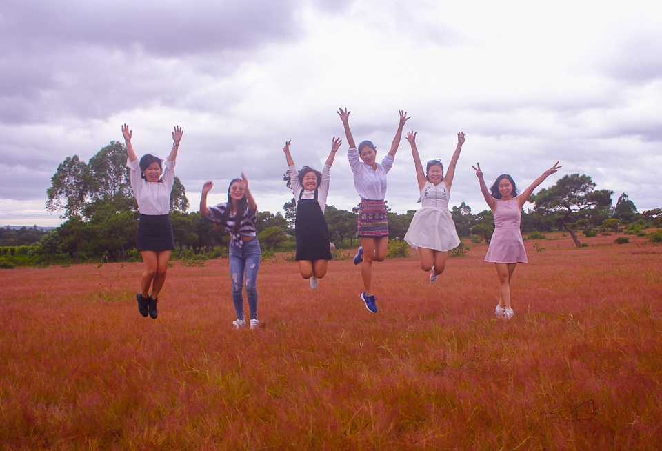 Đồi cỏ hồng đẹp như tranh ở Đà Lạt hút khách ngày đầu đông - 4 Đồi cỏ hồng đã hấp dẫn những bạn trẻ đến để một lần được ngắm đồi cỏ chuyển sắc