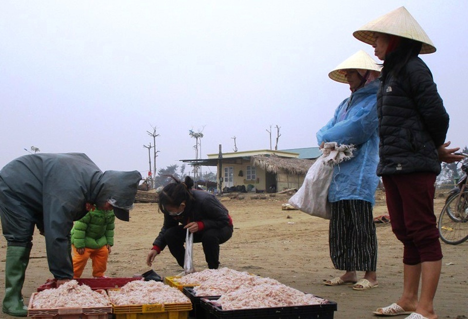 Ngư dân xứ Thanh trúng đậm “lộc trời” - 7 Nghề đánh bắt moi là một nghề truyền thống của ngư dân địa phương ven biển Hoằng Hóa từ bao đời nay. Tuy nhiên, không phải năm nào bà con ngư dân cũng trúng mùa moi, tùy vào từng năm mà moi ít hoặc nhiều, đánh bắt moi tuy mệt nhưng cho thu nhập cũng khá, trung bình một bè mảng mỗi ngày trừ các chi phí, bà con cũng kiếm được từ 1 - 1,5 triệu.