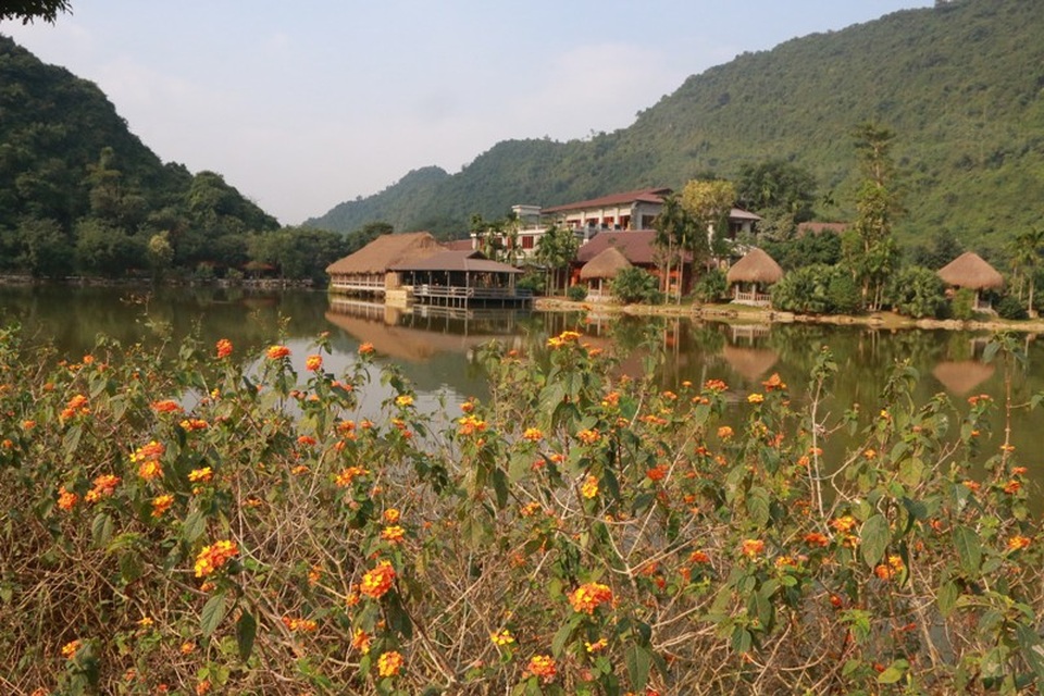 Thung Nham 4 mùa luôn có các loài hoa khoe sắc, cảnh vật nên thơ, bình yên lạ thường.