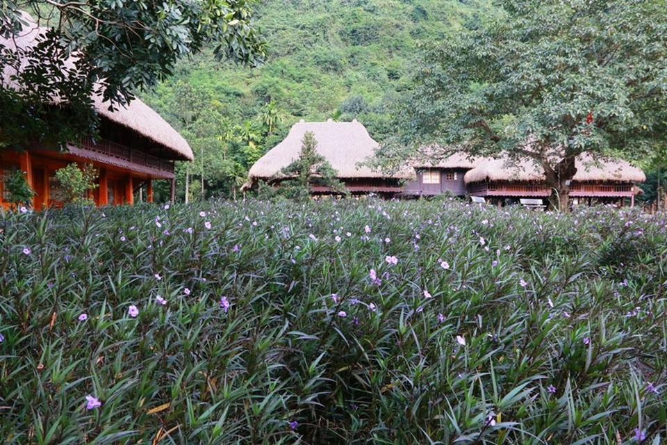 Đến Thung Nham du khách sẽ được hòa mình, sống với thiên nhiên không còn cảm giác với những lo toan, bộn bề của cuộc sống. Nơi đây như một thiên đường thực sự ở đất cố đô Hoa Lư, Ninh Bình.