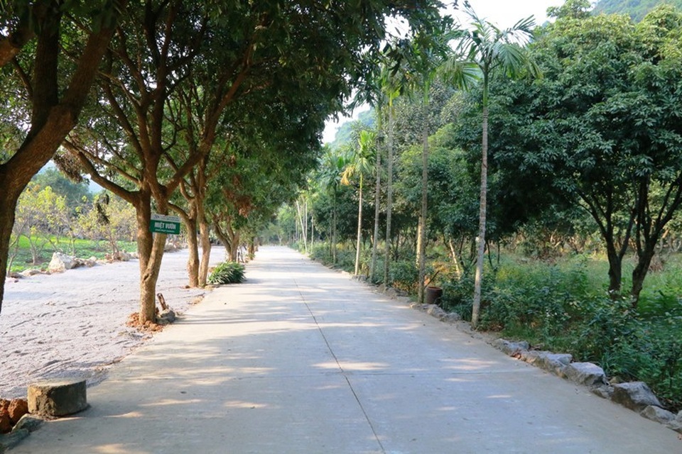 Bức tranh "sơn thủy hữu tình" đầy thơ mộng ở Thung Nham - 17