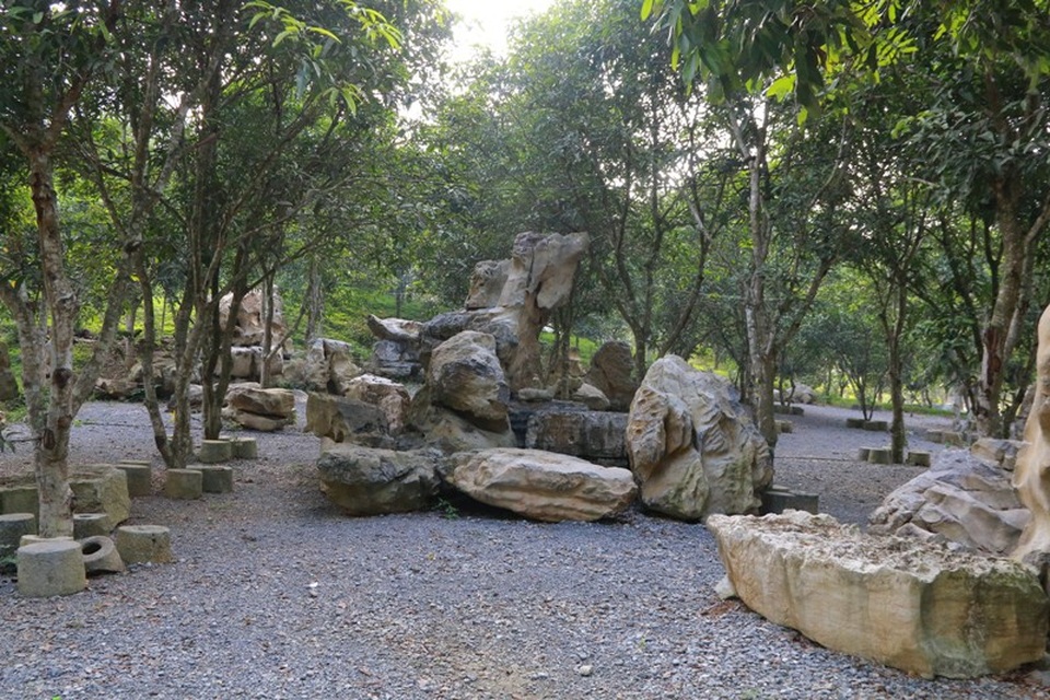 Những phiến đá để du khách dừng chân nghỉ ngơi khi lạc vào hoa quả sơn tại Thung Nham.