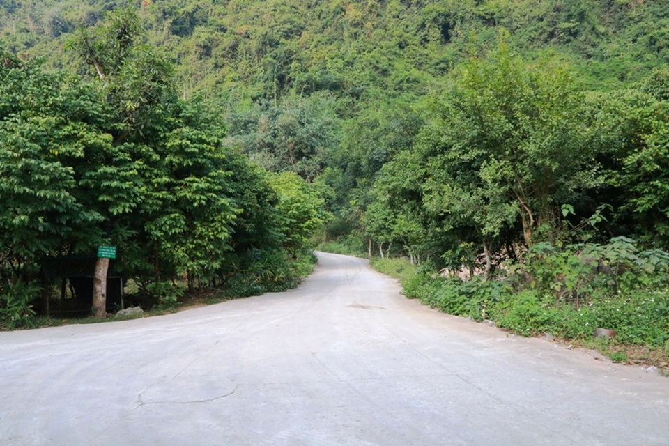 Những con đường dài hai bên cây cối rợp bóng, sâu hun hút tạo cảm giác lạ cho du khách đến Thung Nham khám phá.