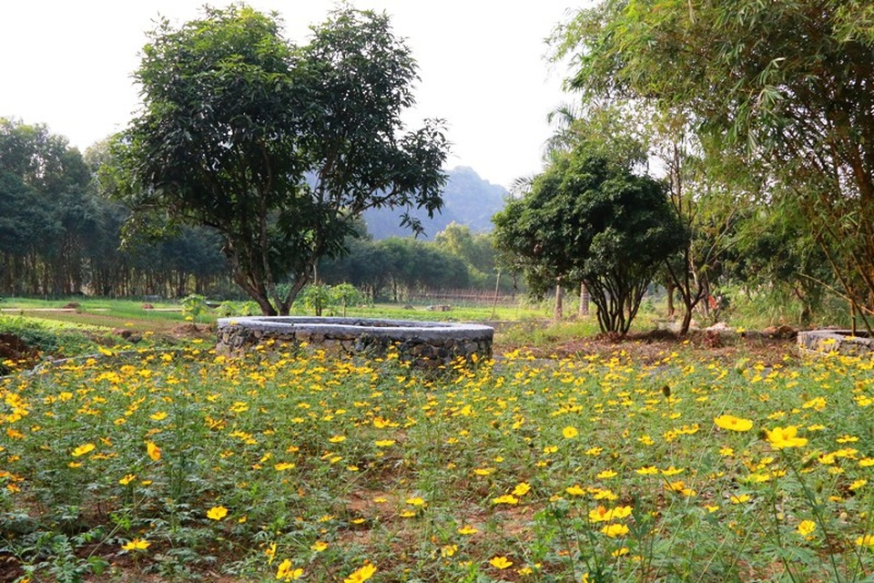 Bức tranh "sơn thủy hữu tình" đầy thơ mộng ở Thung Nham - 5