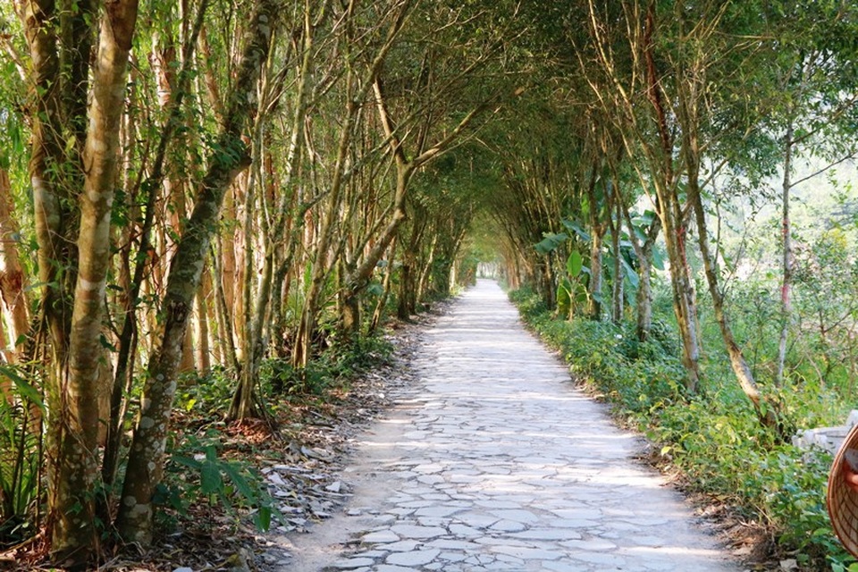 Bức tranh "sơn thủy hữu tình" đầy thơ mộng ở Thung Nham - 16