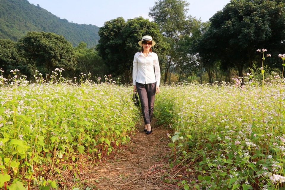 Vườn tam giác mạch “có 1 không 2” hút hồn du khách ở Ninh Bình - 4 Vườn tam giác mạch “có 1 không 2” hút hồn du khách ở Ninh Bình - 4