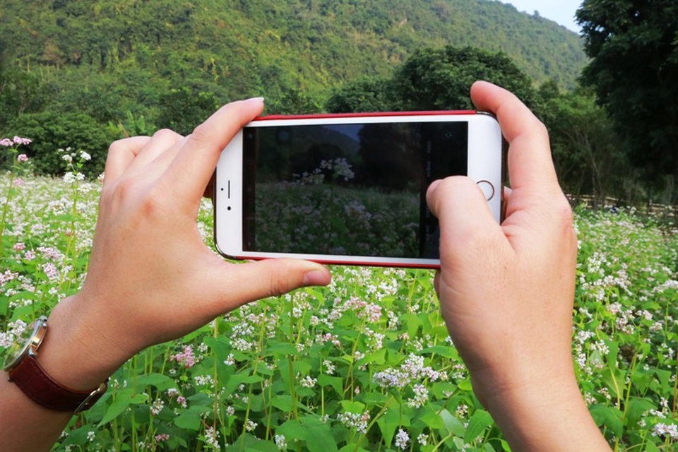 Vườn tam giác mạch “có 1 không 2” hút hồn du khách ở Ninh Bình - 21 Vườn tam giác mạch “có 1 không 2” hút hồn du khách ở Ninh Bình - 21