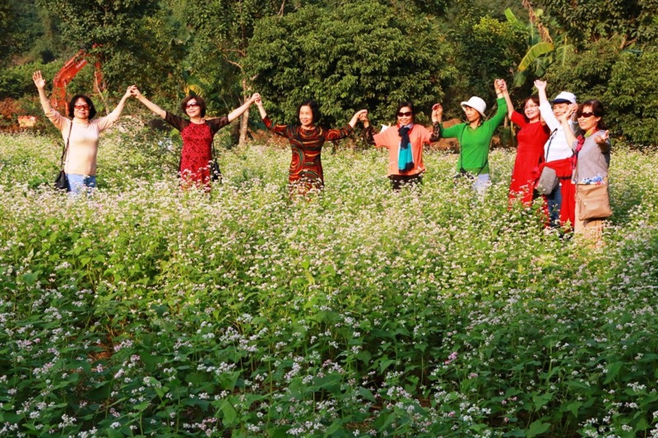 Vườn tam giác mạch “có 1 không 2” hút hồn du khách ở Ninh Bình - 13 Vườn tam giác mạch “có 1 không 2” hút hồn du khách ở Ninh Bình - 13