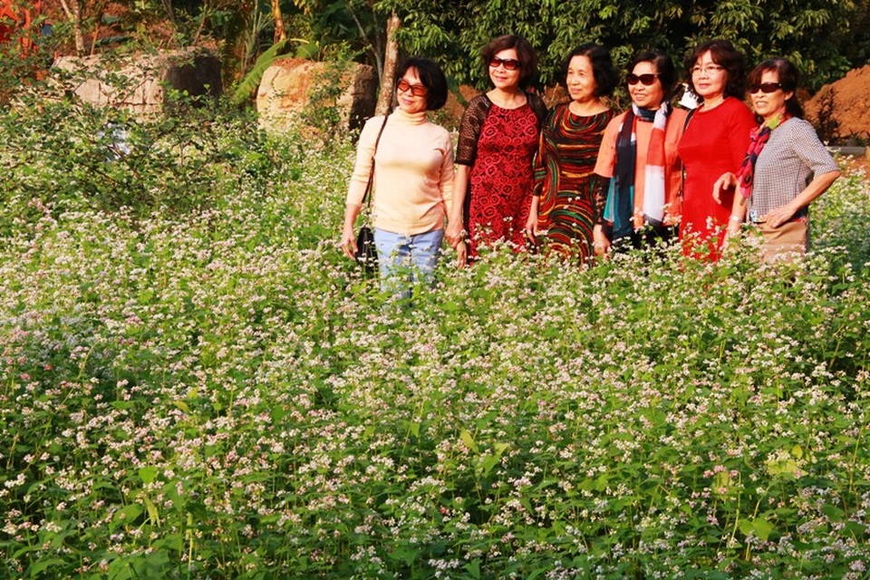 Vườn tam giác mạch “có 1 không 2” hút hồn du khách ở Ninh Bình - 18 Vườn tam giác mạch “có 1 không 2” hút hồn du khách ở Ninh Bình - 18