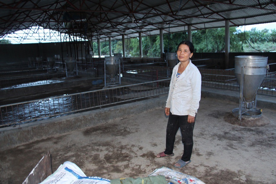 Người phụ nữ chôn chân nhìn hơn 200 con heo bị nước lũ cuốn - 2 Bà Hường thẫn thờ sau khi đàn heo hơn 200 con bị lũ cuốn trong tích tắc