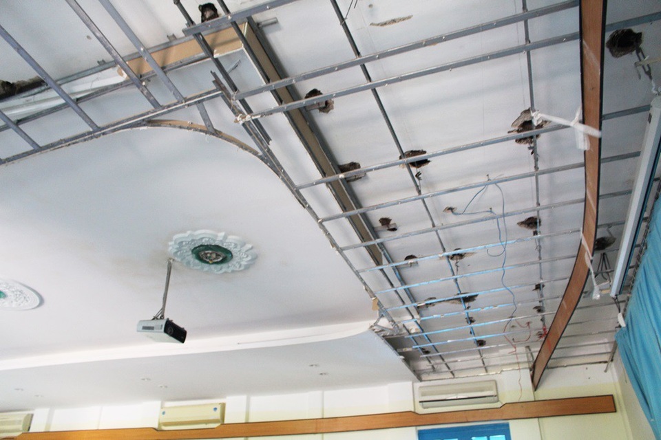 Trường Đại học Nha Trang thiệt hại 25 tỷ đồng vì bão Damrey - 3 Hệ thống điện ở nhiều khu giảng đường, phòng hành chính bị tê liệt, bong tróc