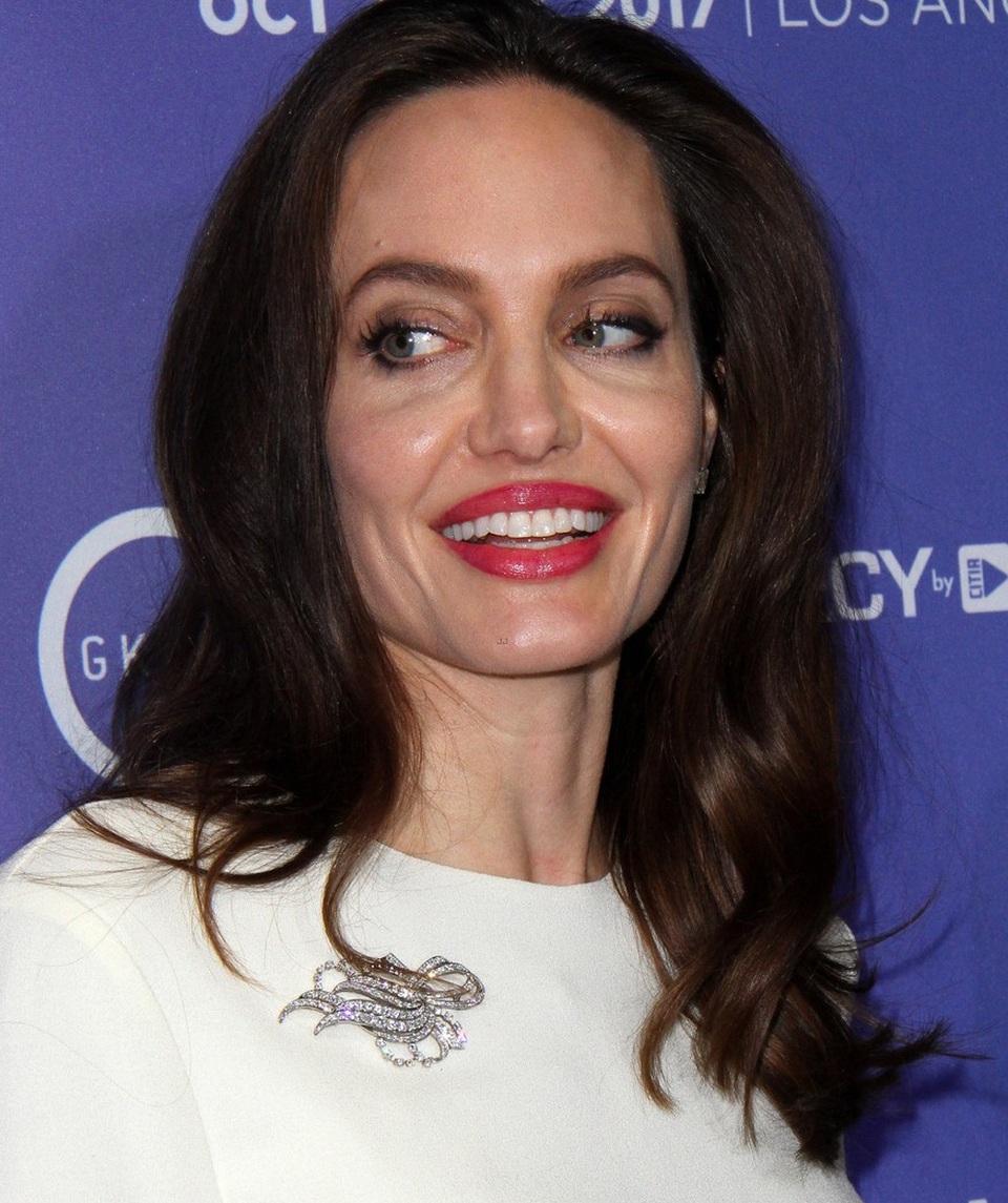 Angelina Jolie giới thiệu thành viên mới trong gia đình - 10 Angelina Jolie giới thiệu thành viên mới trong gia đình - 10