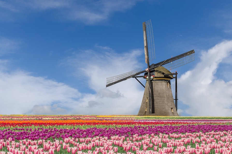 Ngợp mắt trước 7 triệu bông tulip đồng loạt bung nở - 1 Công viên hoa Keukenhof chỉ cách thủ đô Amsterdam chừng 16 dặm về phía tây nam