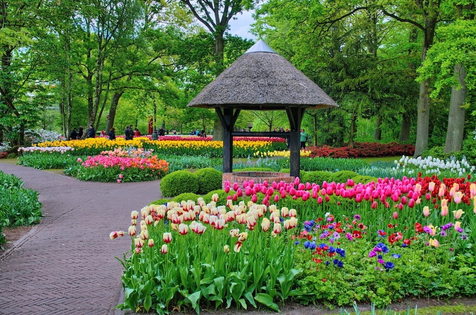 Ngợp mắt trước 7 triệu bông tulip đồng loạt bung nở - 3 Keukenhof mang ý nghĩa “khu vườn nhà bếp” bởi ban đầu nơi này là vườn trồng thảo mộc và rau