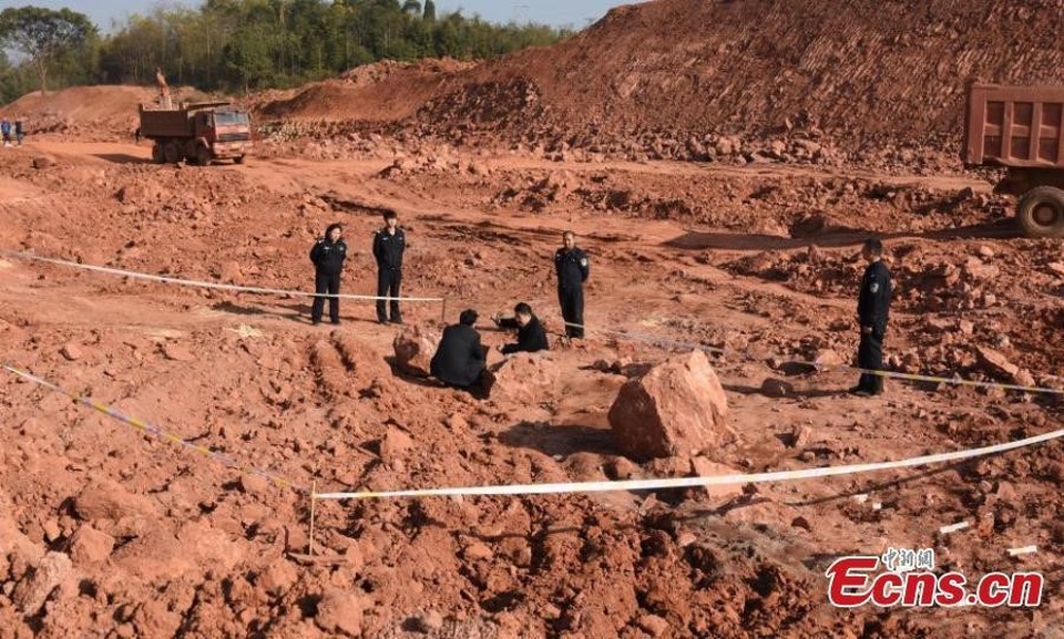 Phát hiện hàng chục quả trứng khủng long 130 triệu năm tuổi còn nguyên vẹn - 4
Các quả trứng được tìm thấy trong khu vực xây dựng trường trung học.