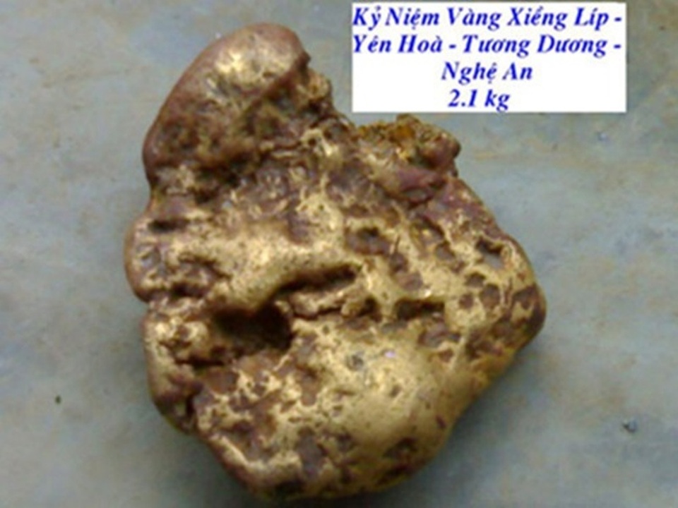 Giàu lên bất ngờ vì những kho báu “rơi trúng đầu” - 1 Cục vàng anh Ối nhặt được.