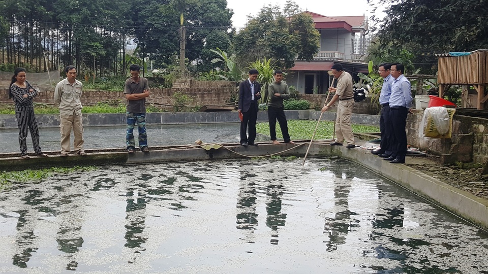 Vụ chết 7 tấn cá: Do bục đường nước thải nhà máy phân bón - 2
Lãnh đạo huyện Bảo Thắng kiểm tra hiện tượng cá chết ở thôn Tân Lợi do sự cố bục đường bơm nước thải của nhà máy phân bón DAP số 2 Lào Cai.
