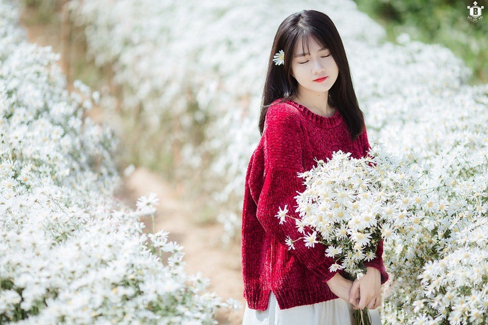 "Hot girl Reuters" Kiều Trinh lại gây thương nhớ với bộ ảnh bên cúc họa mi - 14 "Hot girl Reuters" Kiều Trinh lại gây thương nhớ với bộ ảnh bên cúc họa mi - 14
