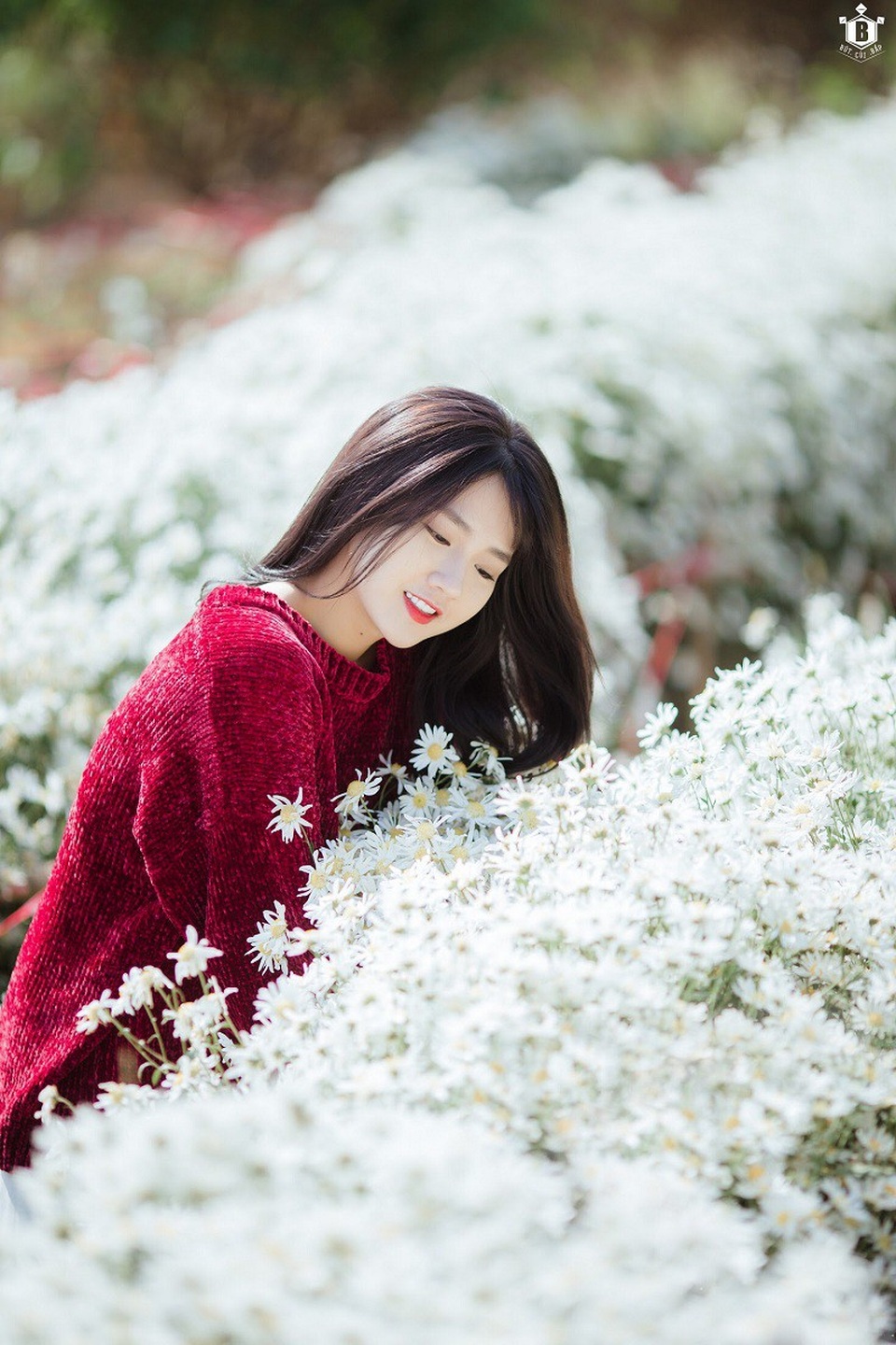 "Hot girl Reuters" Kiều Trinh lại gây thương nhớ với bộ ảnh bên cúc họa mi - 17 "Hot girl Reuters" Kiều Trinh lại gây thương nhớ với bộ ảnh bên cúc họa mi - 17