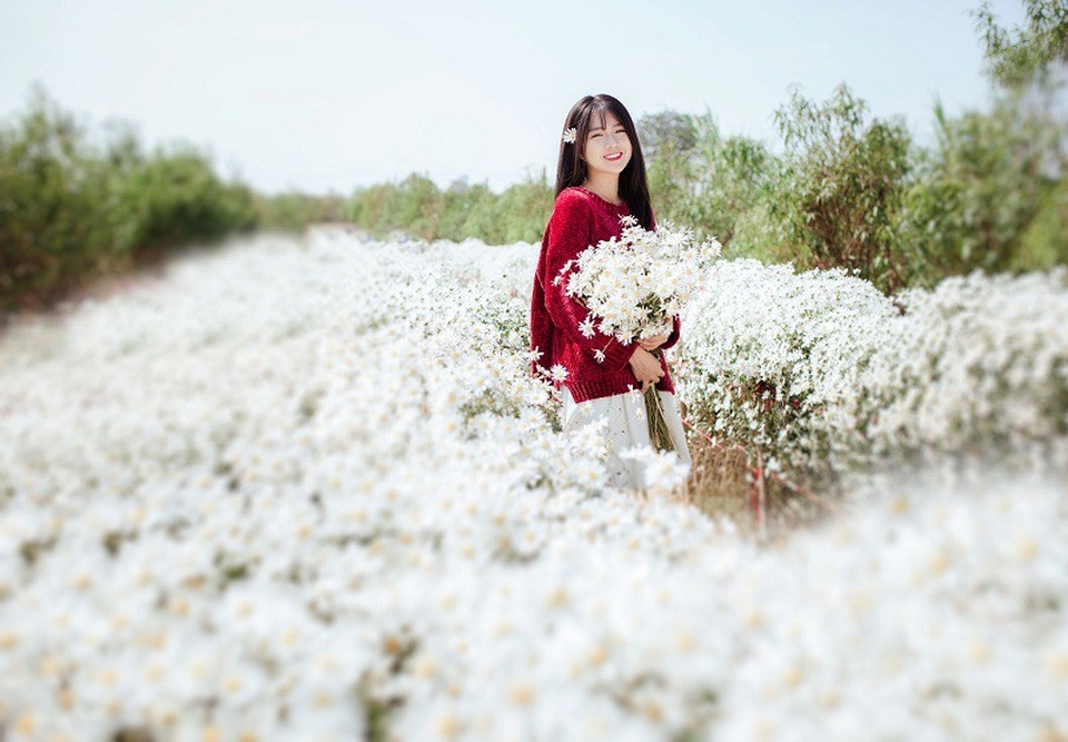 "Hot girl Reuters" Kiều Trinh lại gây thương nhớ với bộ ảnh bên cúc họa mi - 2 "Hot girl Reuters" Kiều Trinh lại gây thương nhớ với bộ ảnh bên cúc họa mi - 2
