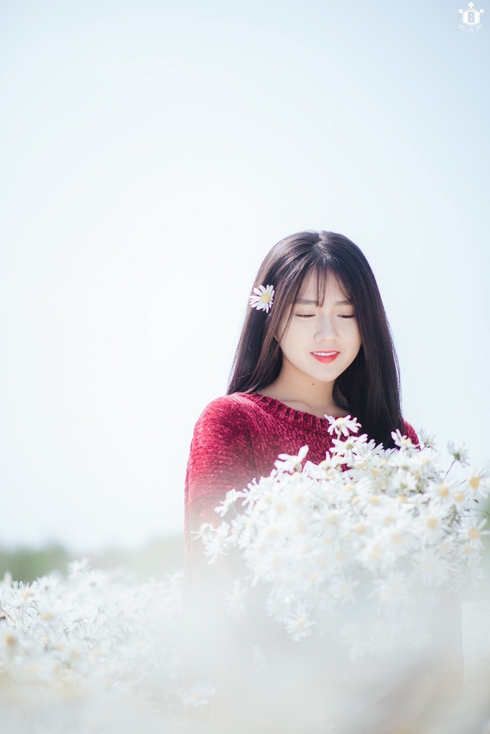 "Hot girl Reuters" Kiều Trinh lại gây thương nhớ với bộ ảnh bên cúc họa mi - 5 "Hot girl Reuters" Kiều Trinh lại gây thương nhớ với bộ ảnh bên cúc họa mi - 5