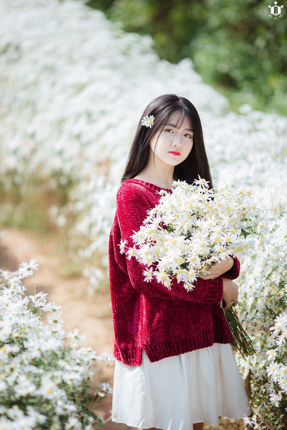 "Hot girl Reuters" Kiều Trinh lại gây thương nhớ với bộ ảnh bên cúc họa mi - 6 "Hot girl Reuters" Kiều Trinh lại gây thương nhớ với bộ ảnh bên cúc họa mi - 6