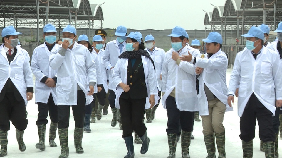 Chủ tịch Quốc hội Nguyễn Thị Kim Ngân thăm và làm việc với một số DN trên địa bàn tỉnh Thái Bình - 4
Chủ tịch Quốc hội Nguyễn Thị Kim Ngân thăm và làm việc với một số DN trên địa bàn tỉnh Thái Bình số 4