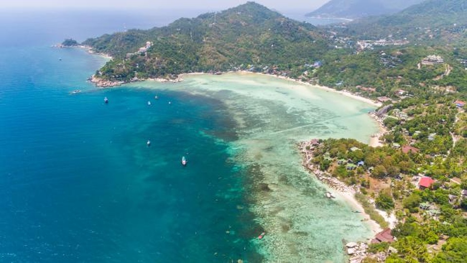 Tìm thấy thi thể nữ du khách nghi bị thằn lằn ăn thịt - 3 Đảo Koh Tao ở Thái Lan