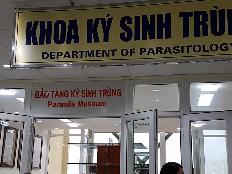 Giật mình hình ảnh ký sinh trùng “đục gan”, bó giun gây tắc ruột - 10 Những mẫu bệnh phẩm đặc biệt này được trưng bày tại Bảo tàng Ký sinh trùng - Viện sốt rét - ký sinh trùng - côn trùng Trung ương.
