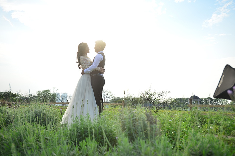 Vườn hoa lavender ở Hà Nội mới hé nụ đã hút khách - 10 Vườn hoa lavender ở Hà Nội mới hé nụ đã hút khách - 10