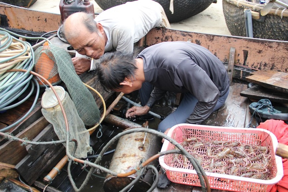 Không được may mắn nên thuyền của ông Việt bắt được ít tôm hơn