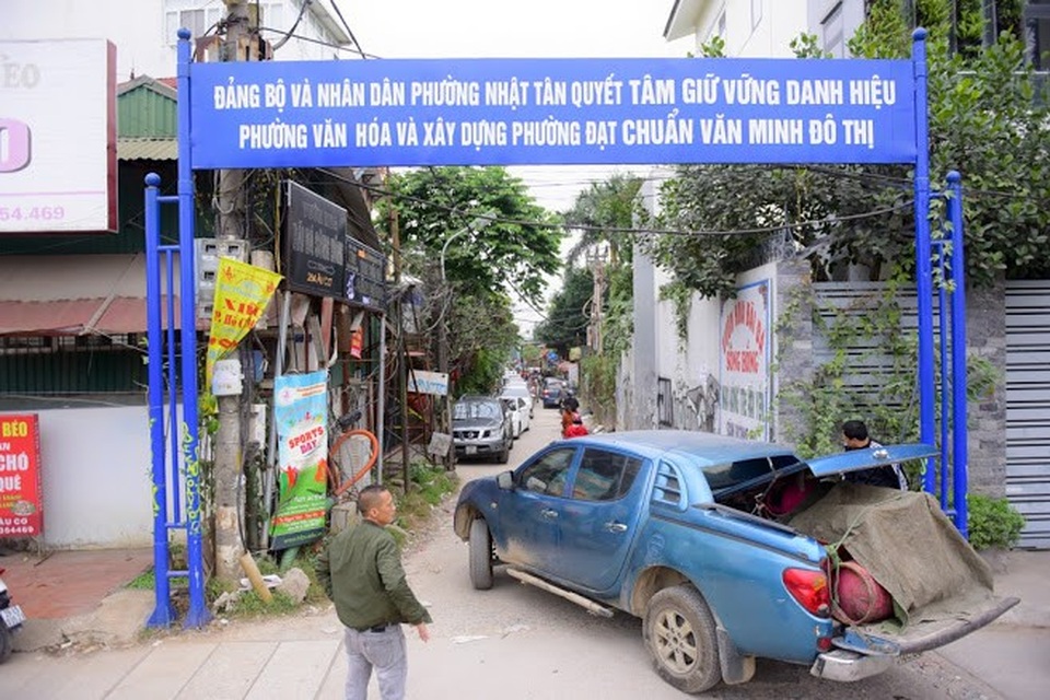Hàng nghìn người “đổ” về chụp ảnh, vườn cúc họa mi “vỡ trận” vì tắc nghẽn - 1 Những ngày này, các vườn cúc họa mi ở Hà Nội thu hút rất đông khách tham quan đến chiêm ngưỡng, chụp ảnh. Tại khu vực vườn hoa Nhật Tân, trong ngày cuối tuần, lượng khách tăng đột biến dẫn đến các ngả đường trở nên ùn ứ, tắc nghẽn. Nhiều lái xe buộc phải xuống đường, điều tiết giao thông.