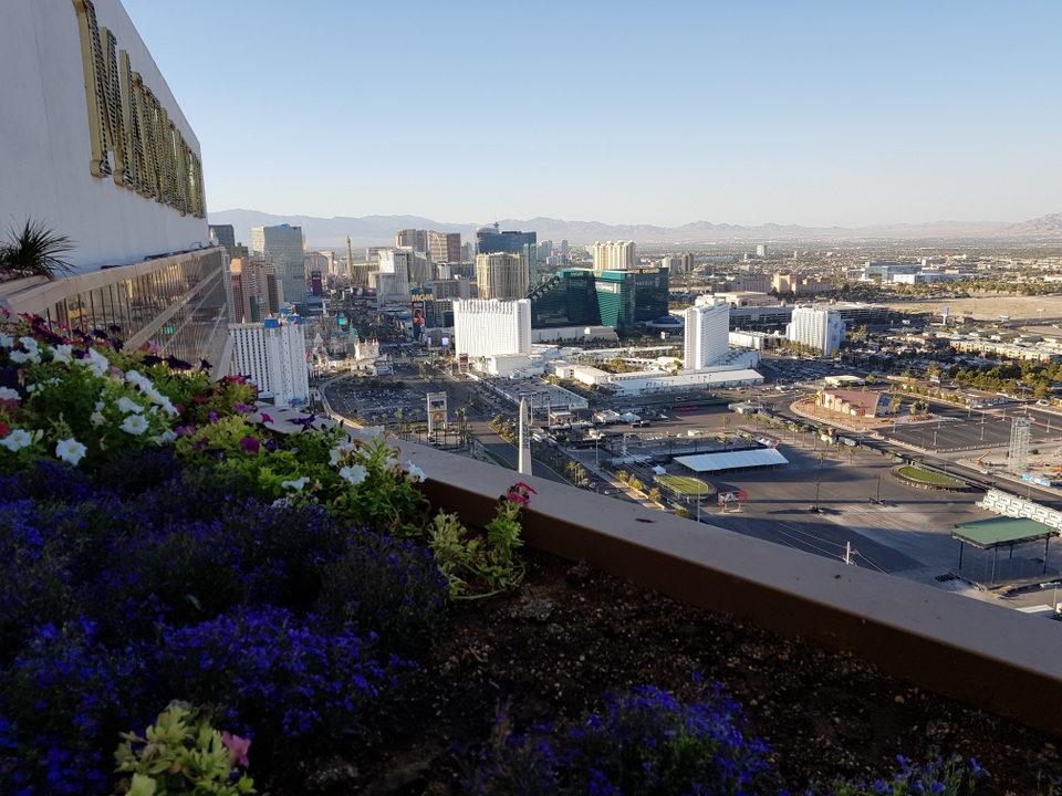 Las Vegas sắp trở thành đô thị thông minh tới mức… “viễn tưởng” - 1
Một góc thành phố Las Vegas nhìn từ tầng 63 khách sạn Mandalay Bay. Ảnh: Anh Huy