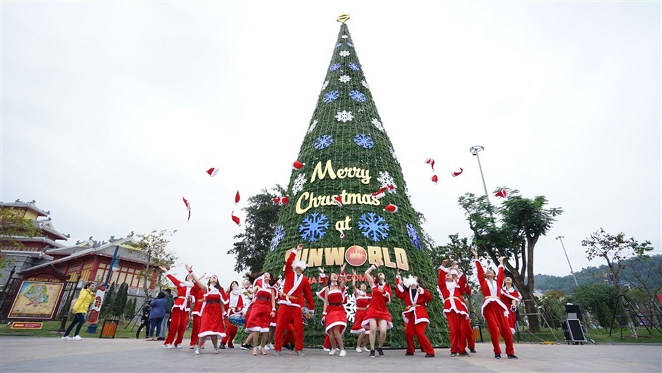 
Cây thông rực rỡ, ấn tượng cao gần 20m được đặt giữa quảng trường
