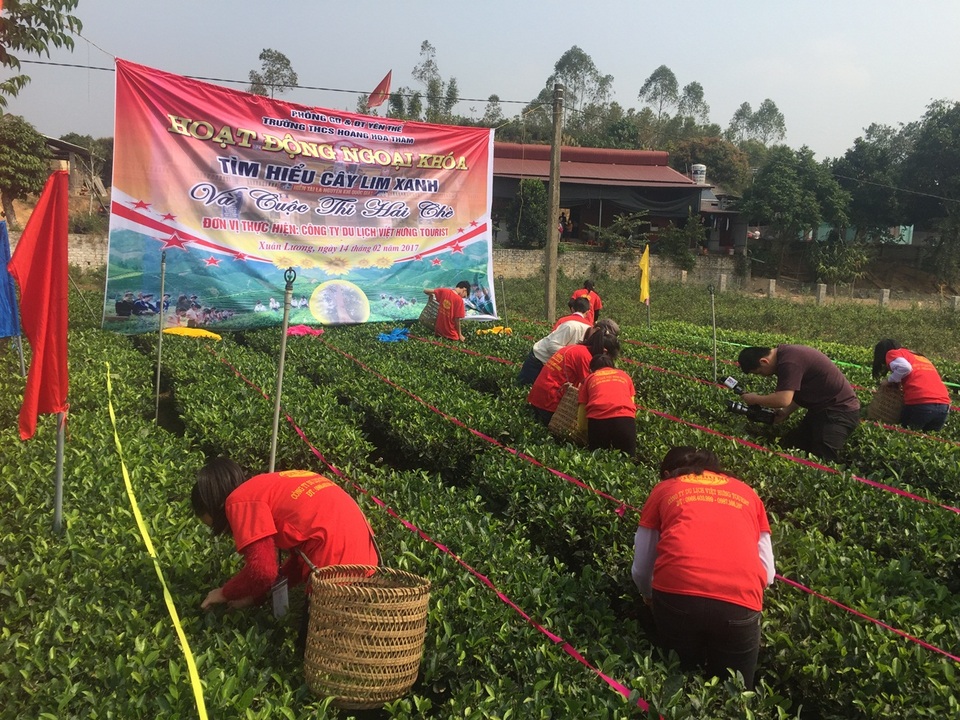 Độc đáo Lễ hội văn hóa các dân tộc huyện Yên Thế tỉnh Bắc Giang - 5 Các em học sinh thi hái chè ở Bản Ven.