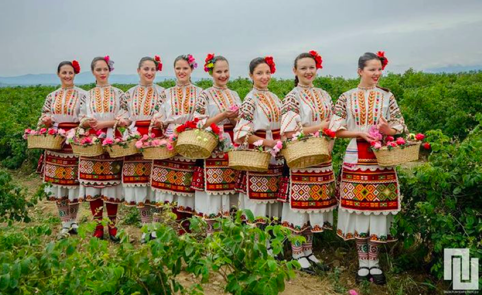 Việt Nam, Bulgaria sẽ hợp tác phát triển cây hoa hồng - 1 Trồng trọt và chế biến các sản phẩm từ hoa hồng là một thế mạnh của đất nước Bulgaria (Ảnh: lehoihoahong.com)