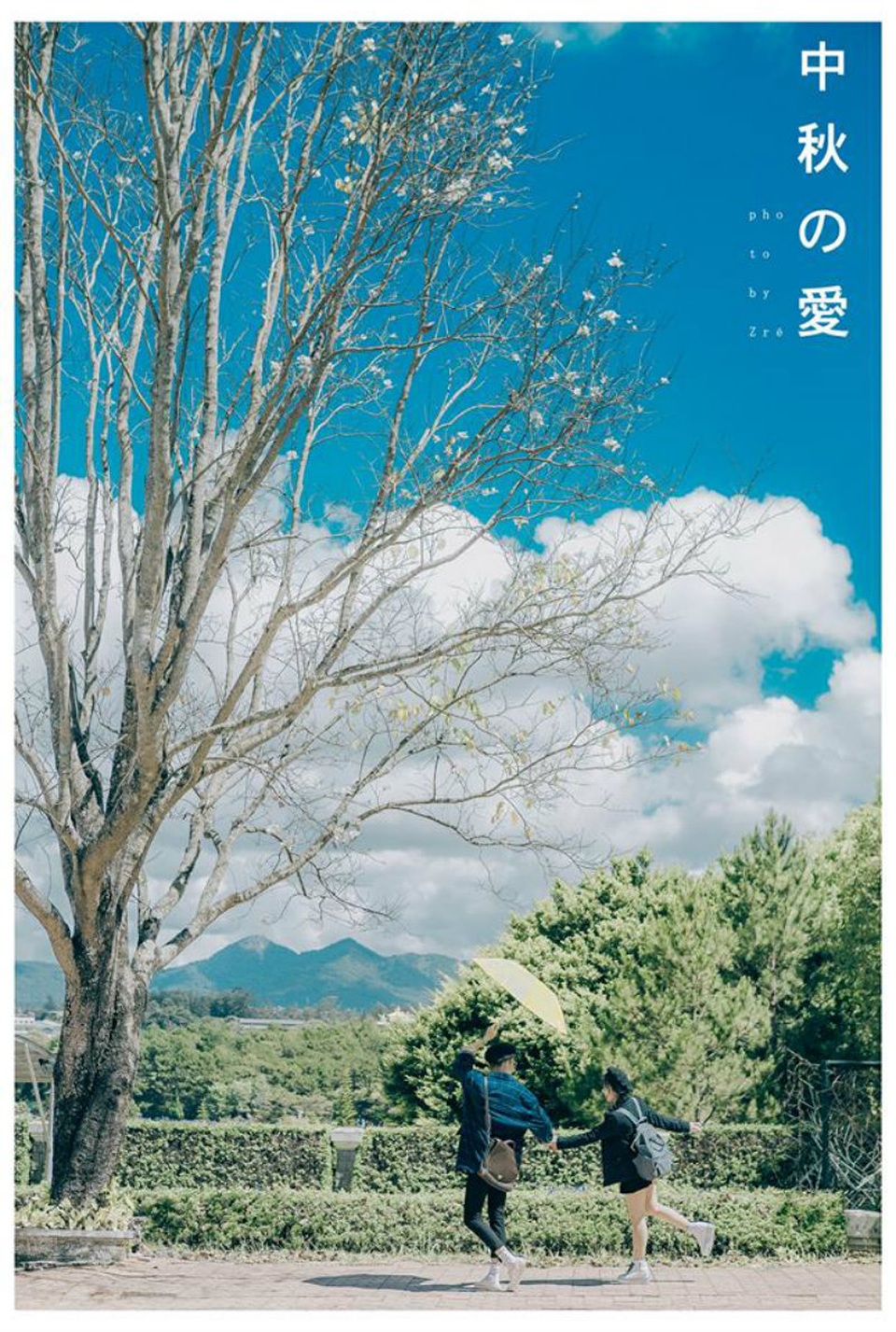 Thêm bộ ảnh về Đà Lạt đẹp tựa ngôn tình Nhật Bản - 21