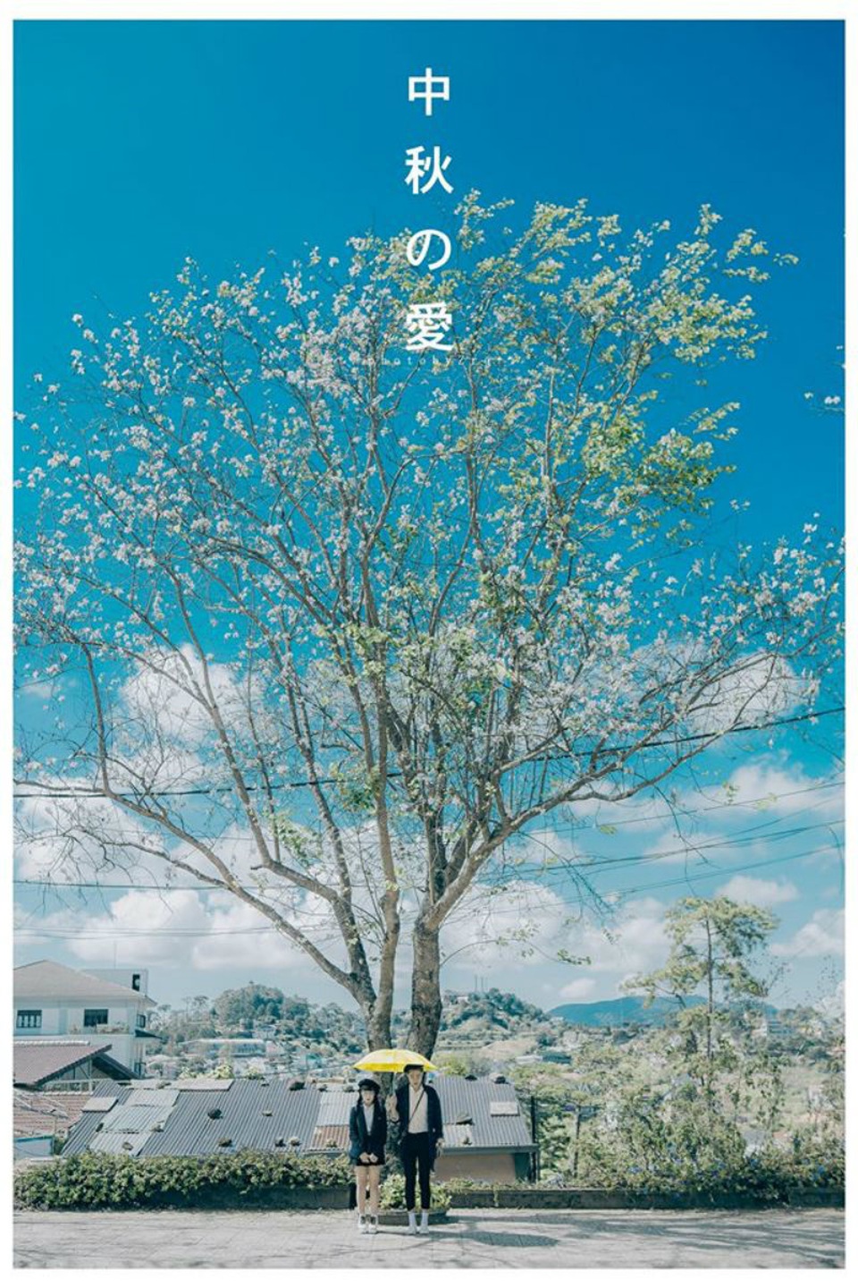 Thêm bộ ảnh về Đà Lạt đẹp tựa ngôn tình Nhật Bản - 8